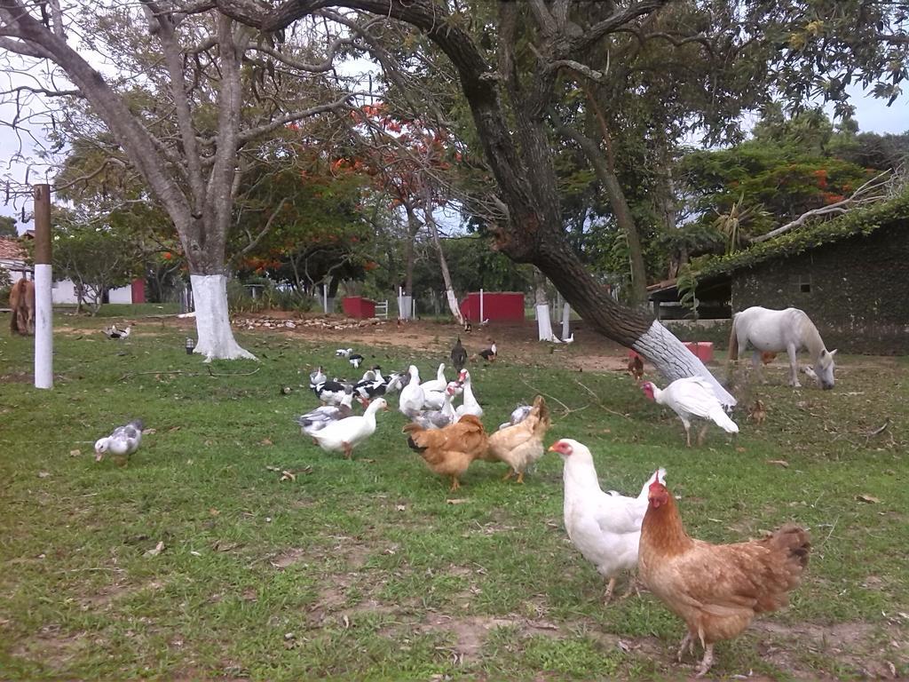 Pousada Fazendinha Buzios Esterno foto